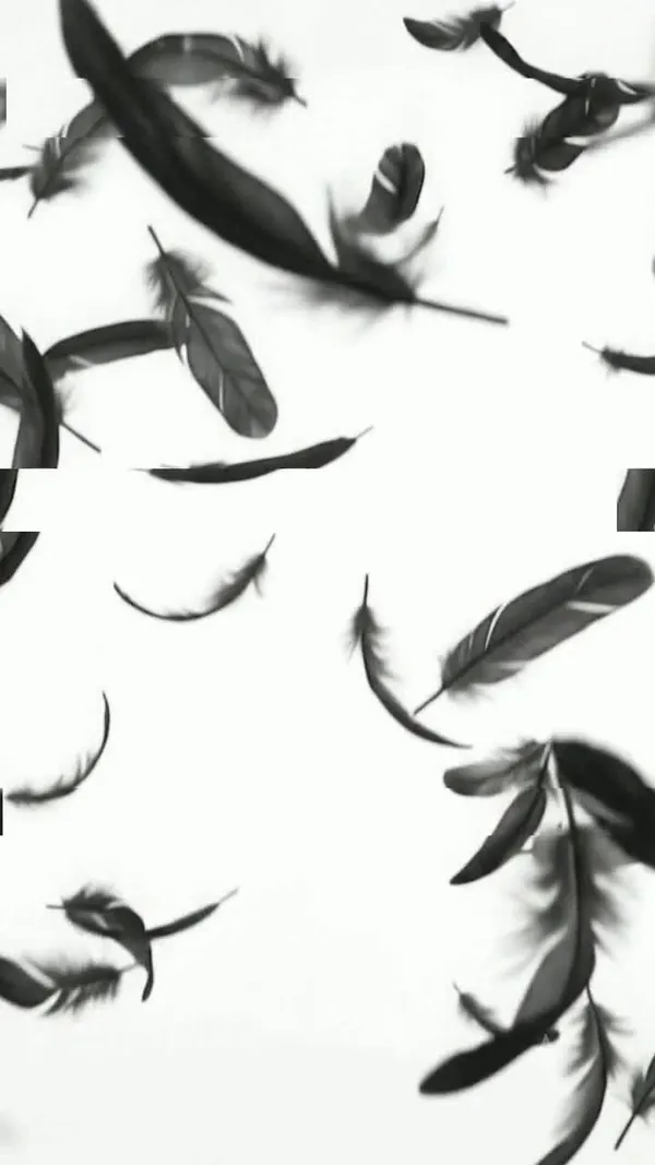 Acto II · Negro