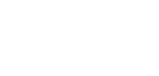 Playera Anthrés