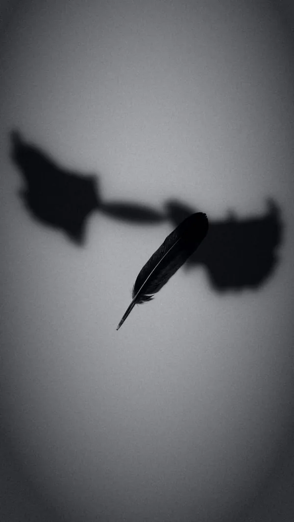 Juego Plumas